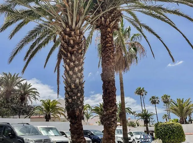 Vakantiehuis Cortijo