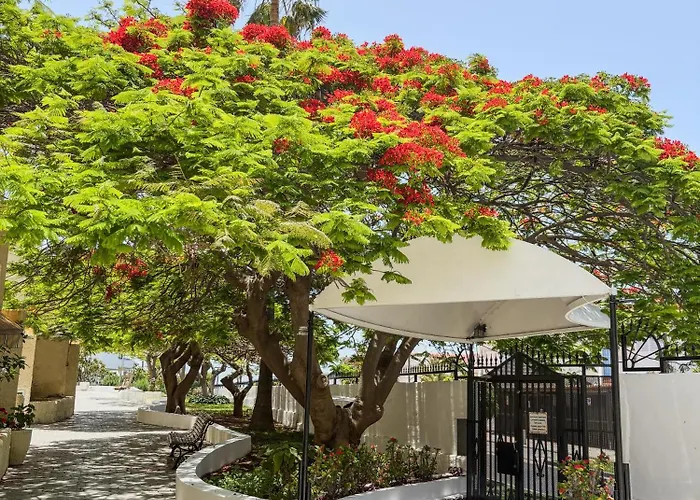 Casa de Férias Cortijo *